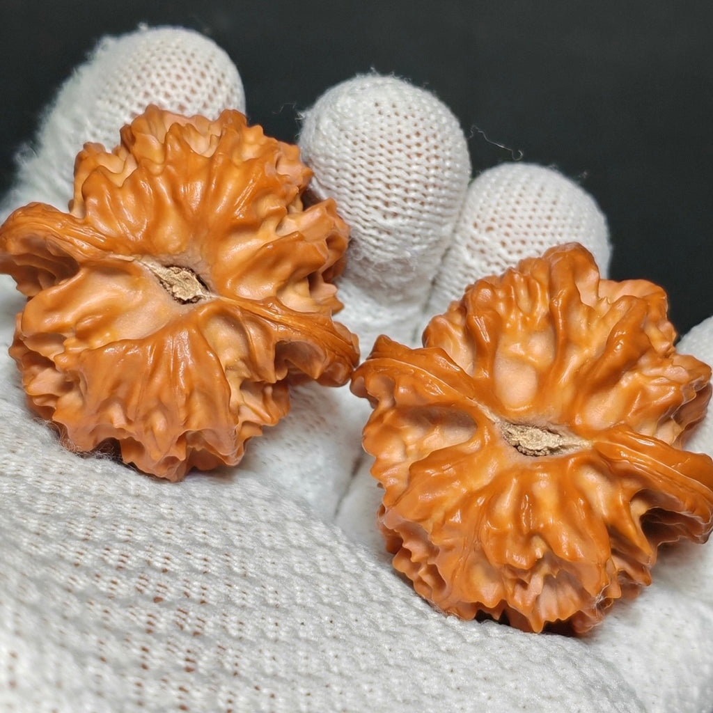 Cao Dalong Wenwan Walnut · 43mm · Sourcing Pick