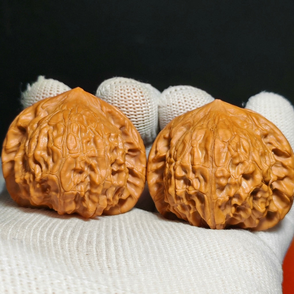 Wild · Blood Phoenix Wenwan Walnut · 42mm · Natural · Sourcing Pick