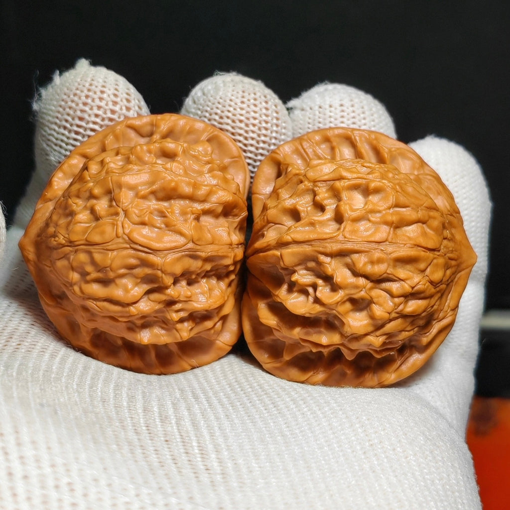 Wild · Blood Phoenix Wenwan Walnut · 42mm · Natural · Sourcing Pick