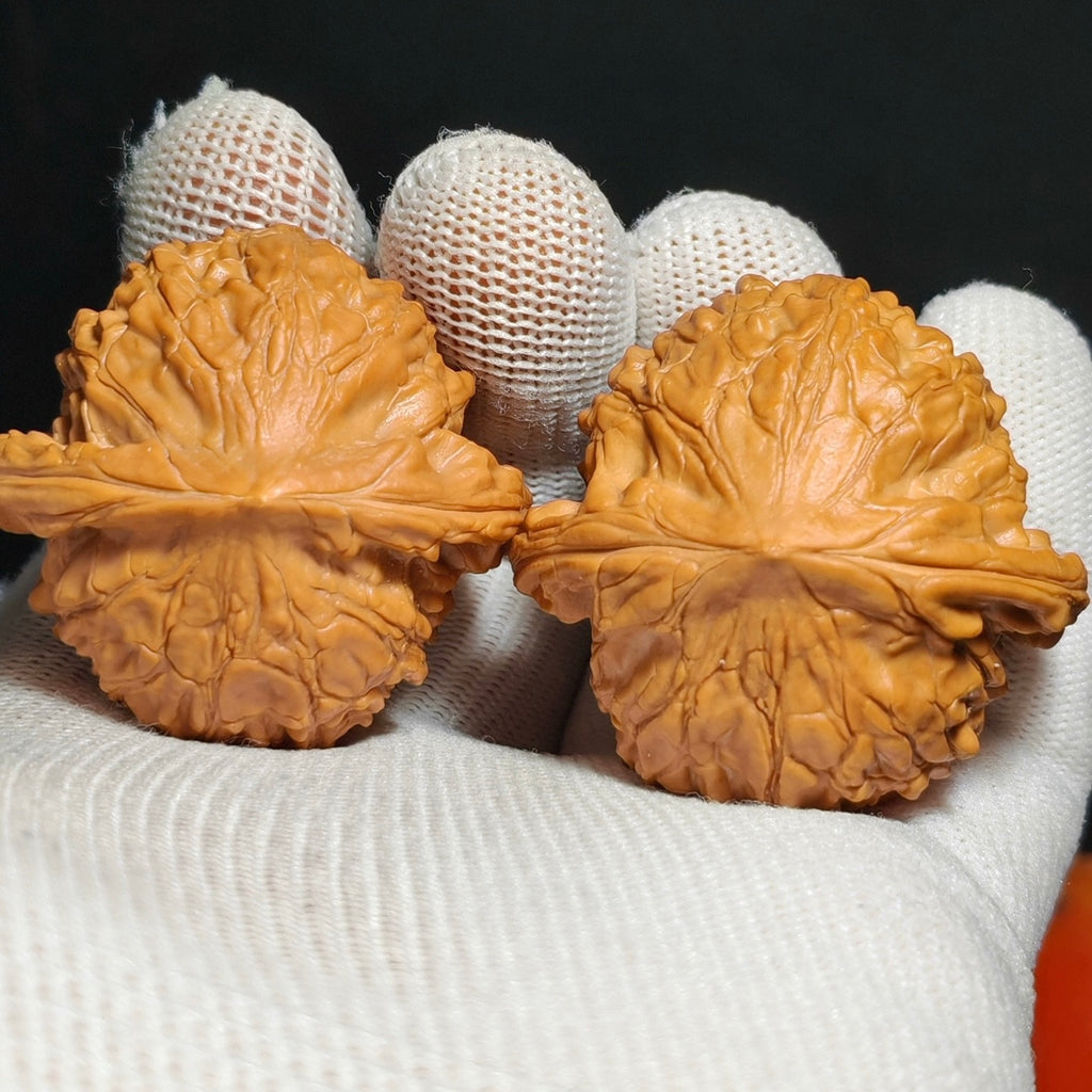 Wild · Blood Phoenix Wenwan Walnut · 42mm · Natural · Sourcing Pick