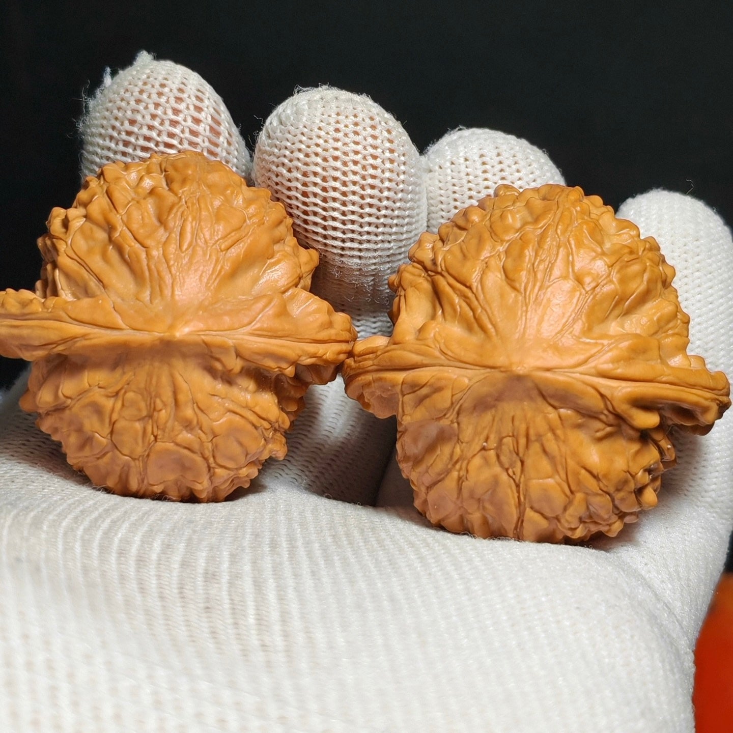 Wild · Blood Phoenix Wenwan Walnut · 42mm · Natural · Sourcing Pick