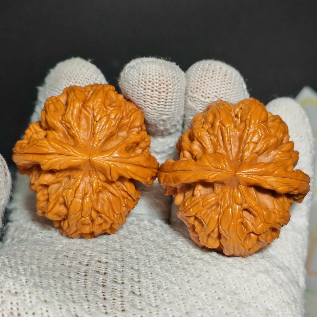 Red Koi Wenwan Walnut · 47mm · Natural · Sourcing Pick