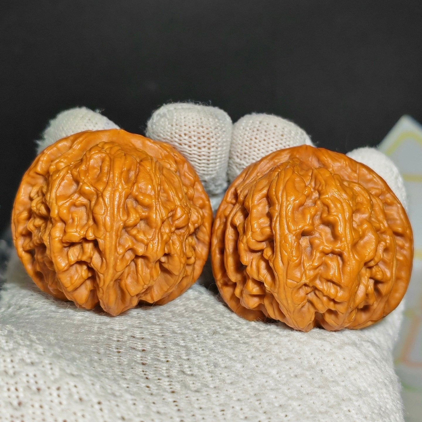 Red Koi Wenwan Walnut · 47mm · Natural · Sourcing Pick