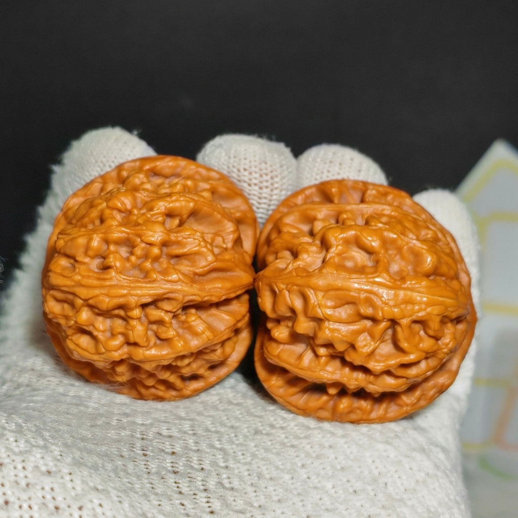 Red Koi Wenwan Walnut · 47mm · Natural · Sourcing Pick