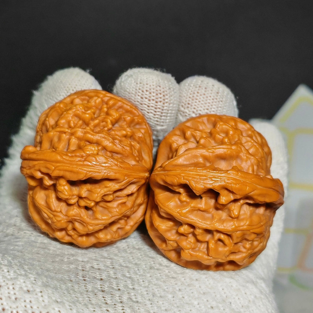 Red Koi Wenwan Walnut · 47mm · Natural · Sourcing Pick