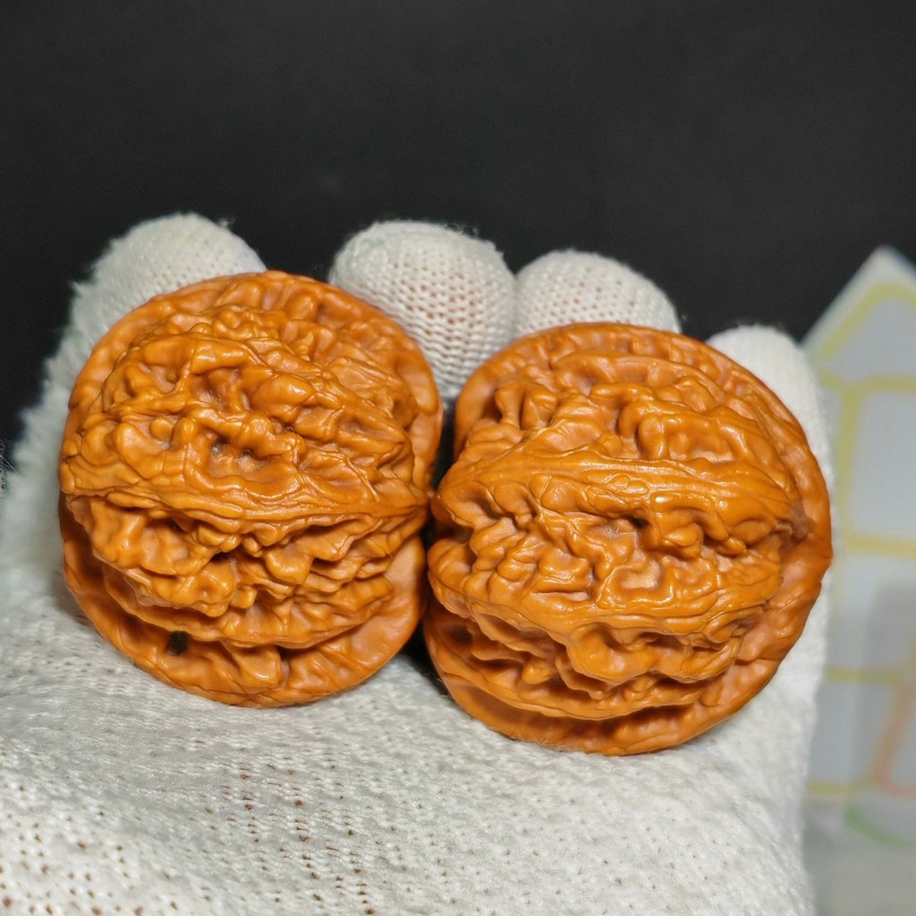 Red Koi Wenwan Walnut · 47mm · Natural · Sourcing Pick