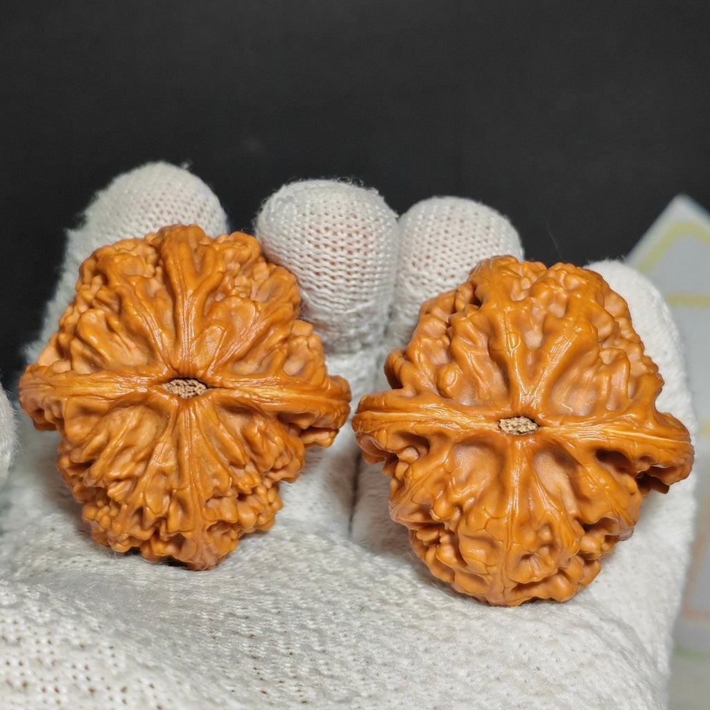 Red Koi Wenwan Walnut · 47mm · Natural · Sourcing Pick