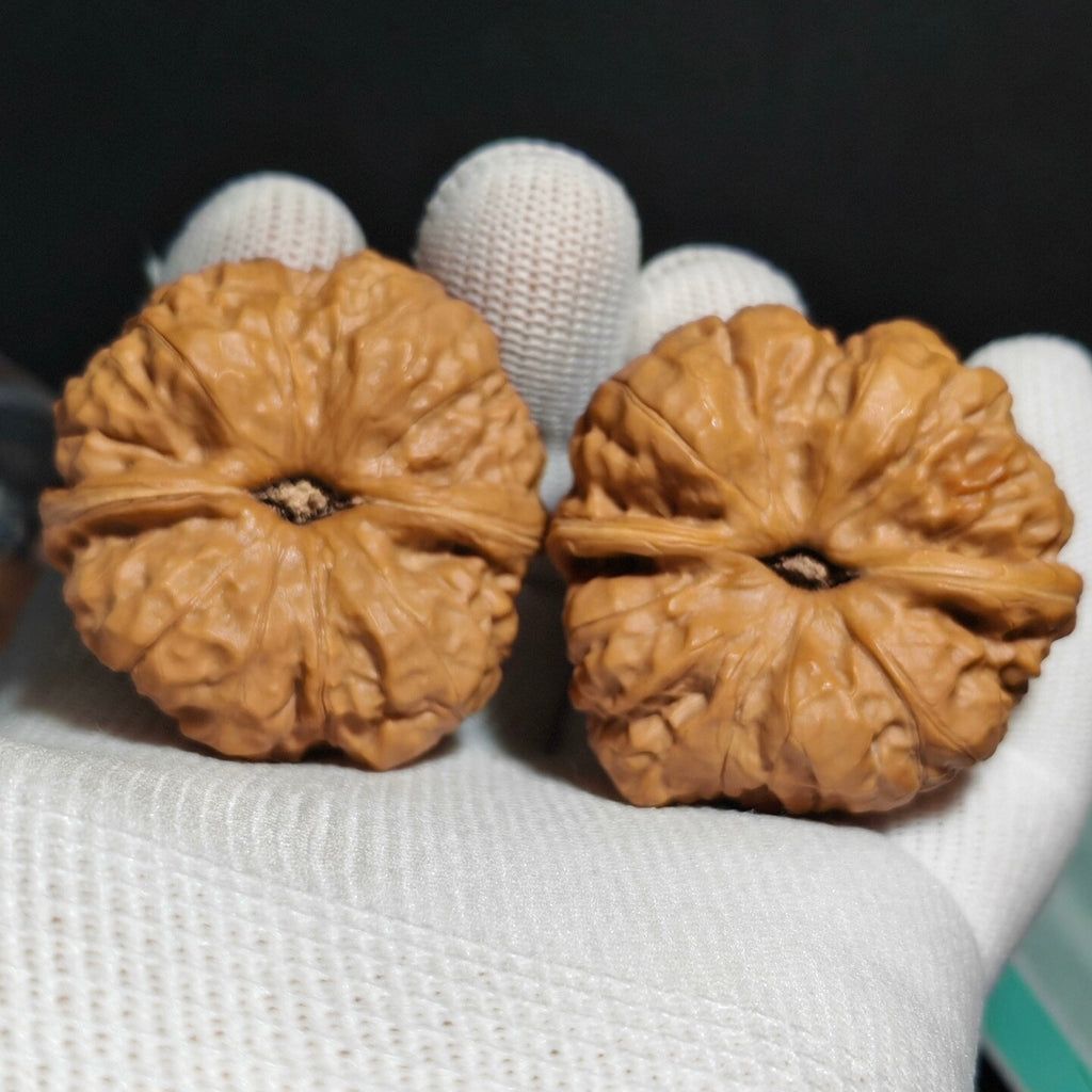 Giant Tri-Toad Head Wenwan Walnut · 44mm · Sourcing Pick
