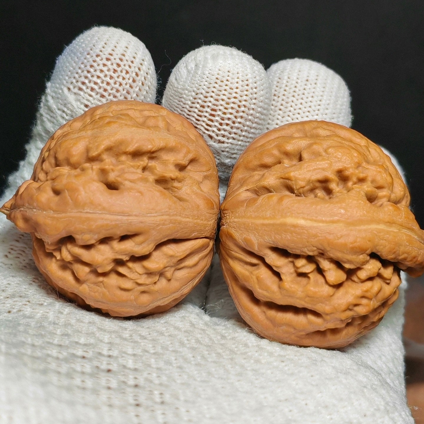 Tyrannosaurus Rex Wenwan Walnut · 35mm · Natural · Sourcing Pick