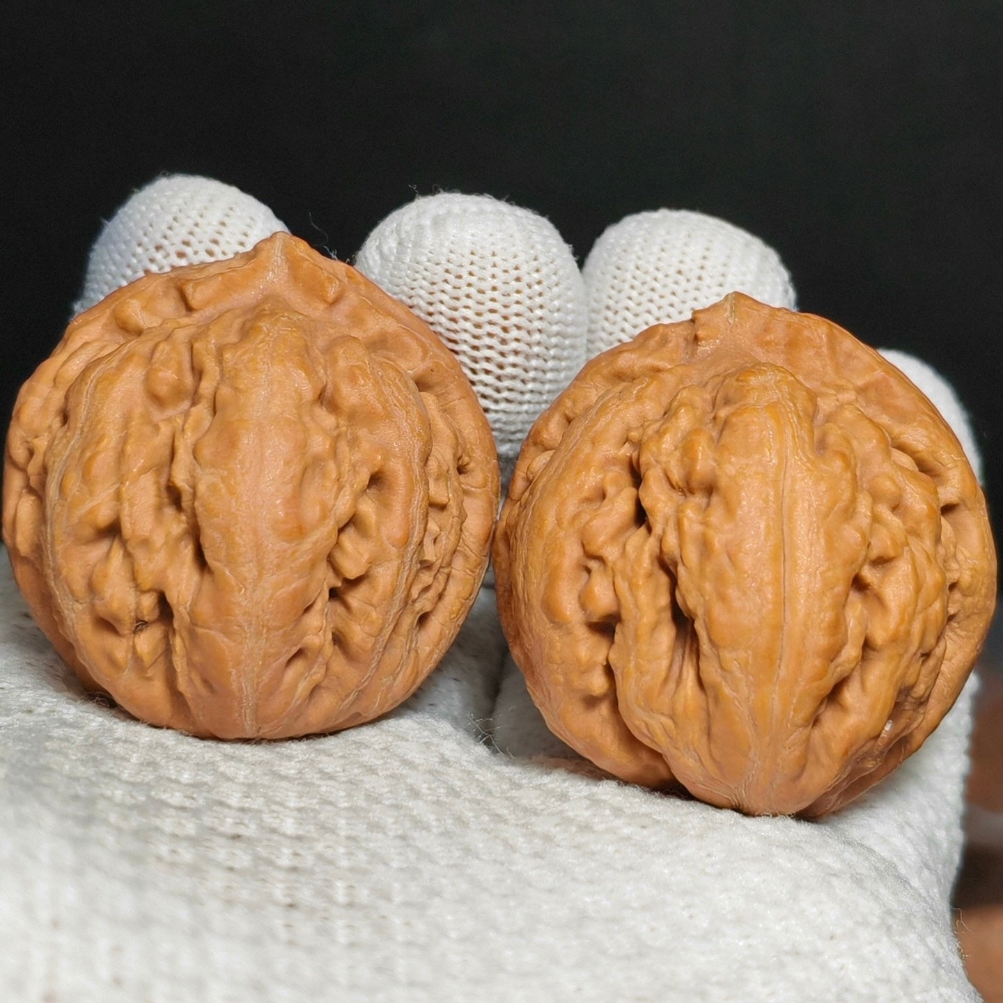 Tyrannosaurus Rex Wenwan Walnut · 35mm · Natural · Sourcing Pick