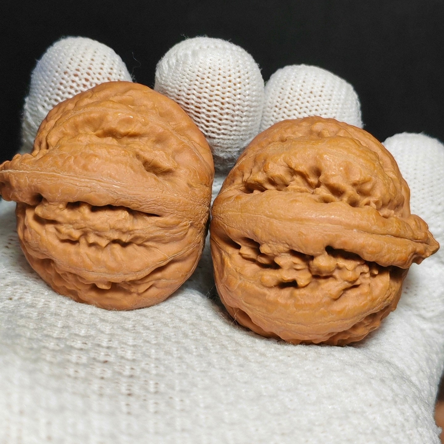 Tyrannosaurus Rex Wenwan Walnut · 35mm · Natural · Sourcing Pick