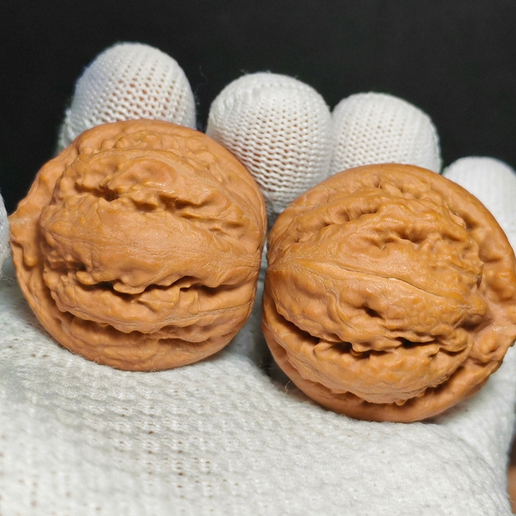 Tyrannosaurus Rex Wenwan Walnut · 35mm · Natural · Sourcing Pick