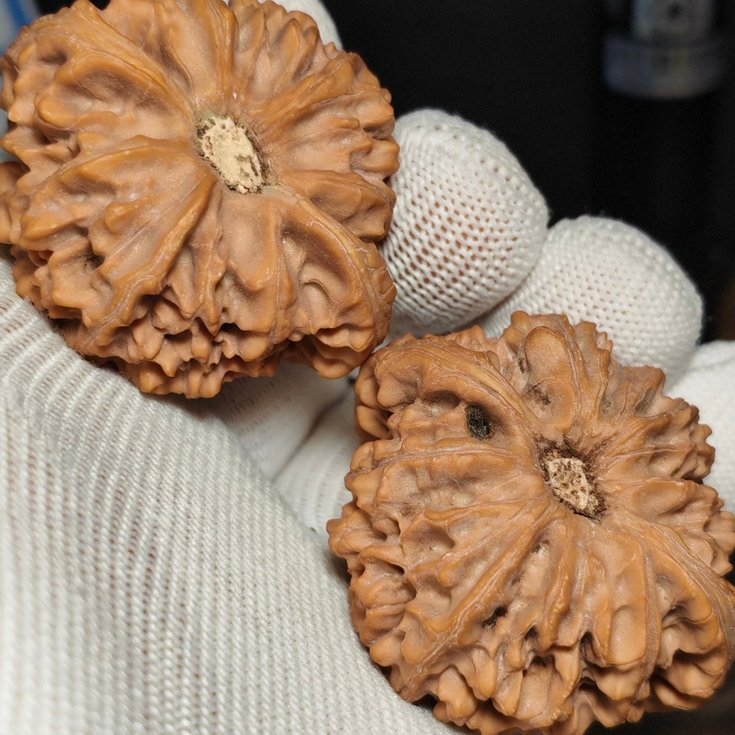 Longmen Jian  Wenwan Walnut · 44mm · Natural · Sourcing Pick