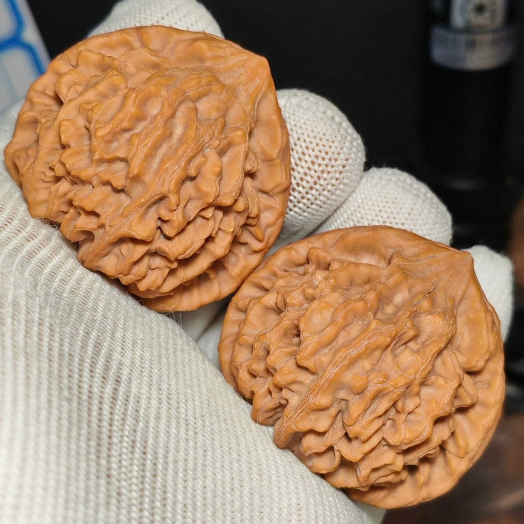 Longmen Jian  Wenwan Walnut · 44mm · Natural · Sourcing Pick