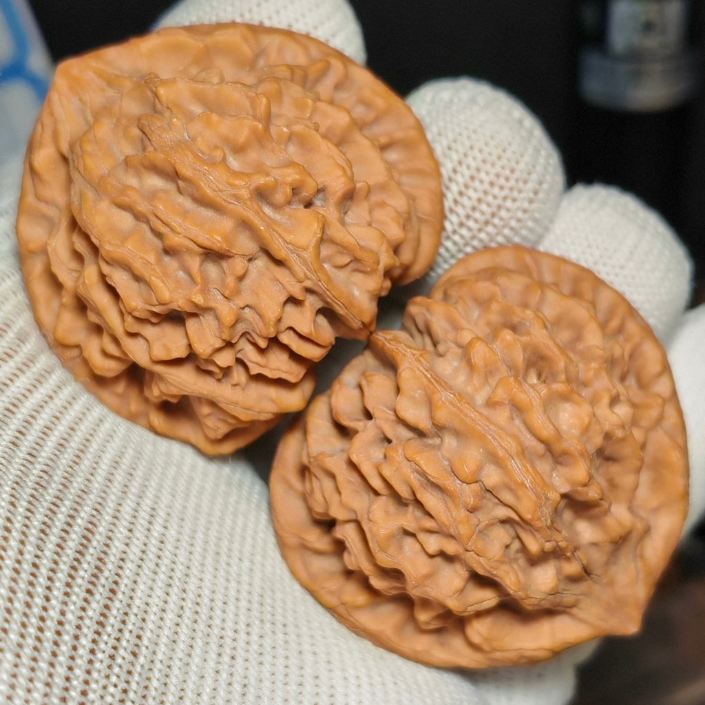 Longmen Jian  Wenwan Walnut · 44mm · Natural · Sourcing Pick