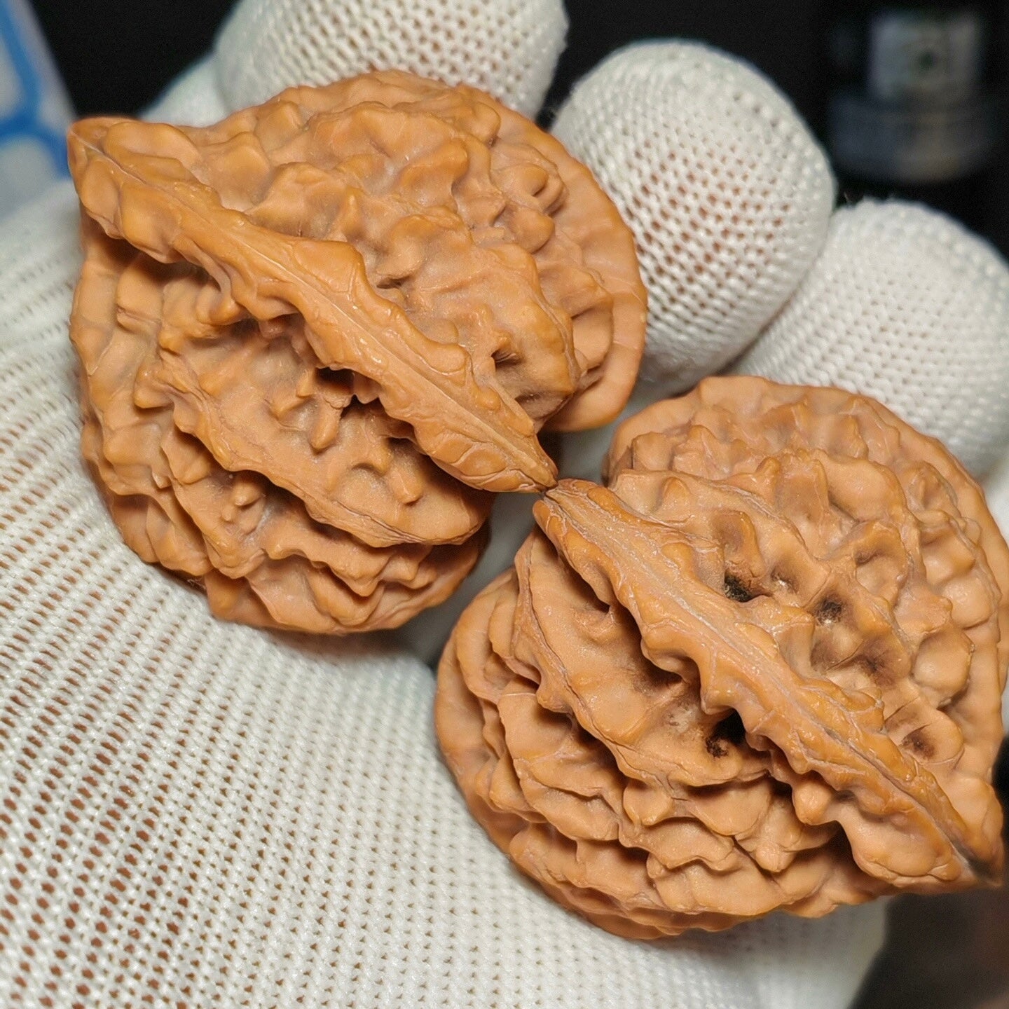 Longmen Jian  Wenwan Walnut · 44mm · Natural · Sourcing Pick