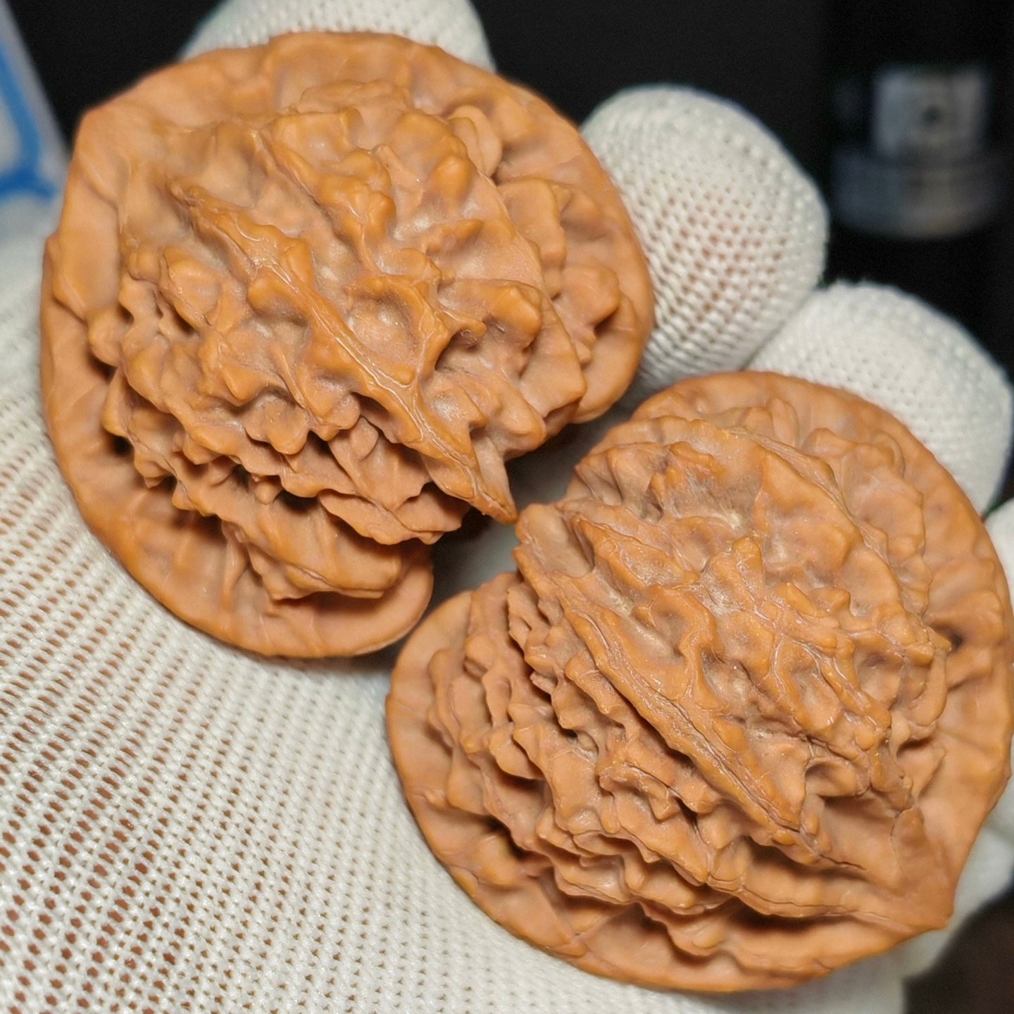 Longmen Jian  Wenwan Walnut · 44mm · Natural · Sourcing Pick