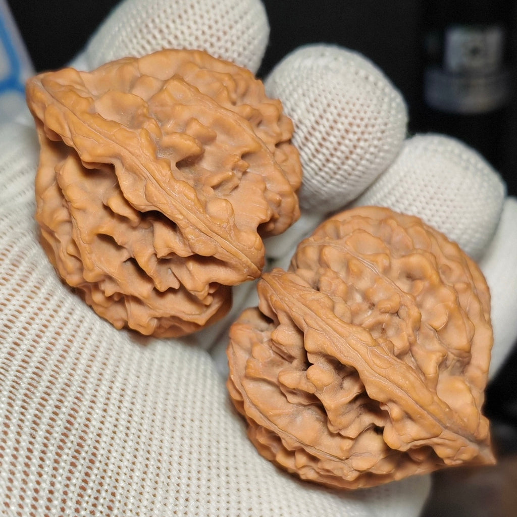 Longmen Jian  Wenwan Walnut · 44mm · Natural · Sourcing Pick