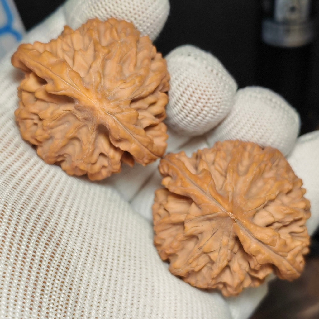 Longmen Jian  Wenwan Walnut · 44mm · Natural · Sourcing Pick