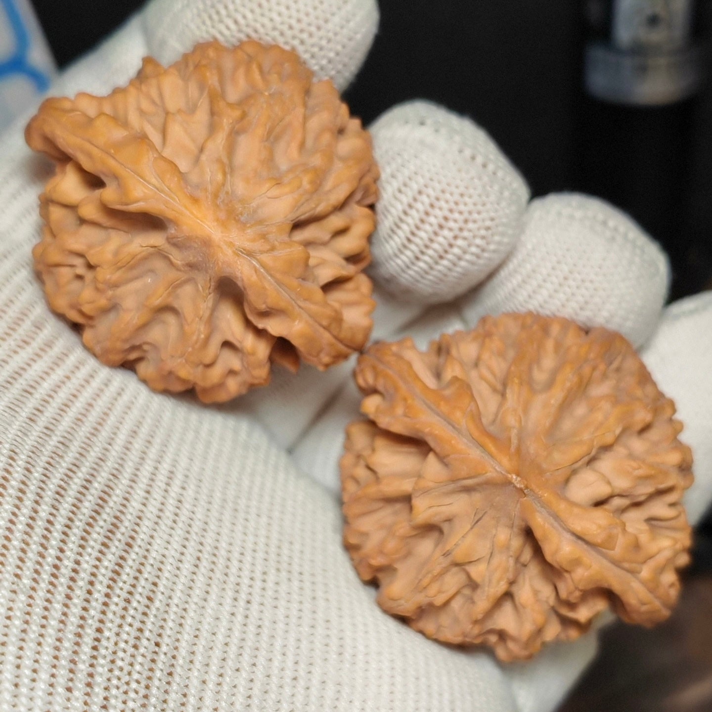 Longmen Jian  Wenwan Walnut · 44mm · Natural · Sourcing Pick