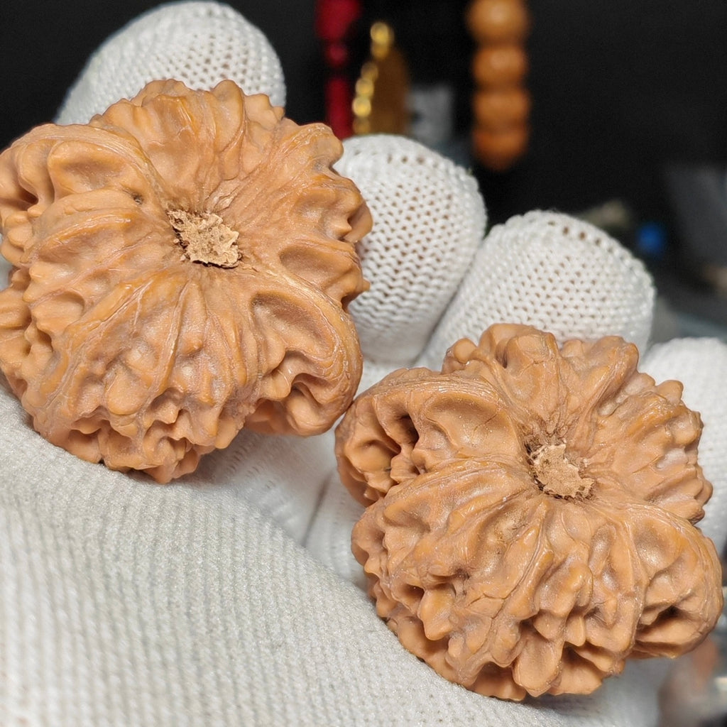 Longmen Jian Wenwan Walnut · 41mm · Natural · Sourcing Pick