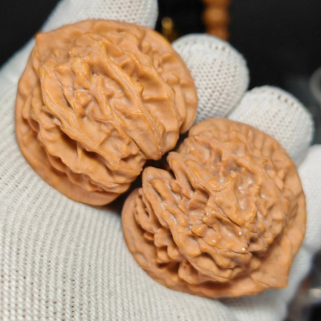Longmen Jian Wenwan Walnut · 41mm · Natural · Sourcing Pick