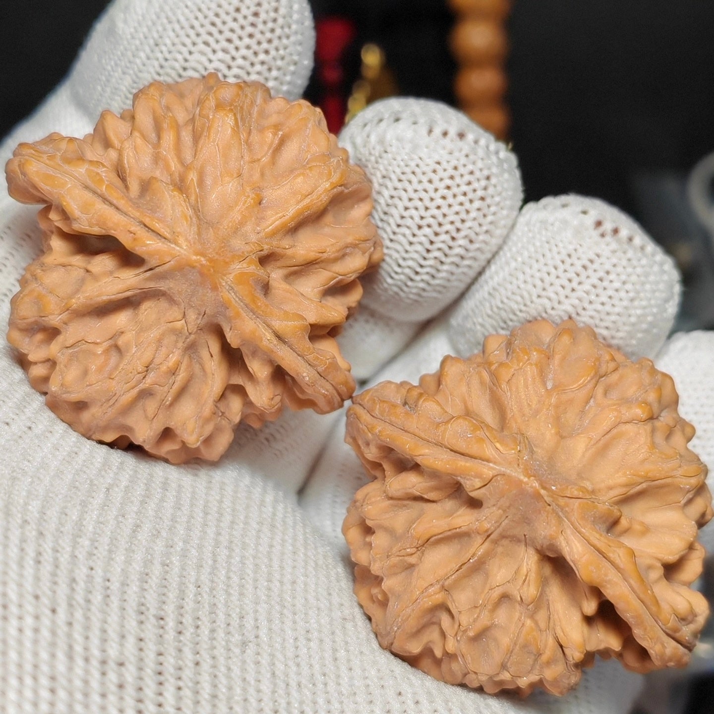 Longmen Jian Wenwan Walnut · 41mm · Natural · Sourcing Pick