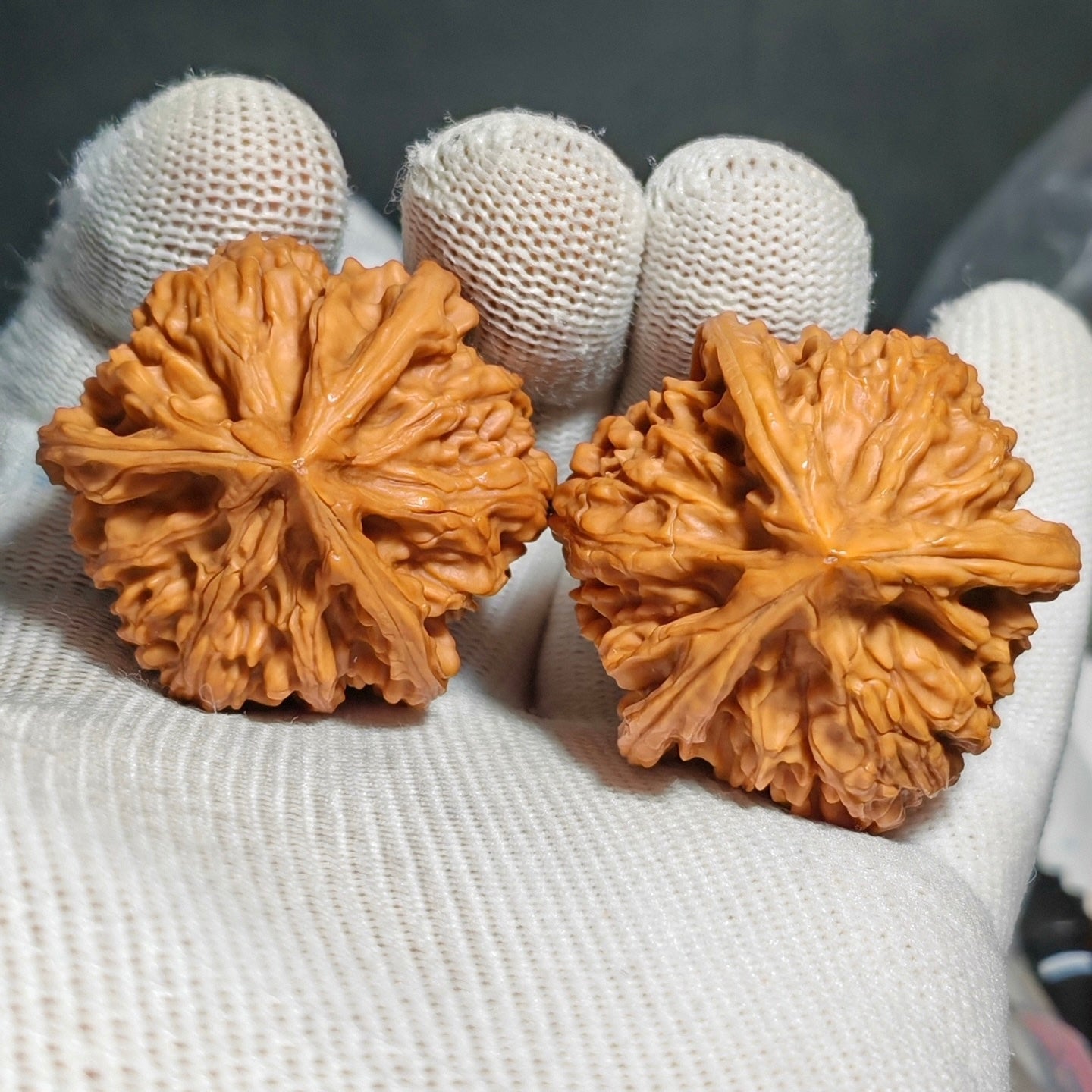 Thick Ribs Three Ridges  Wenwan Walnut · 41mm · Natural · Sourcing Pick