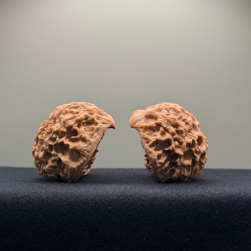 Snake Head Wenwan Walnut  · 43mm · Natural · Premium Ritual