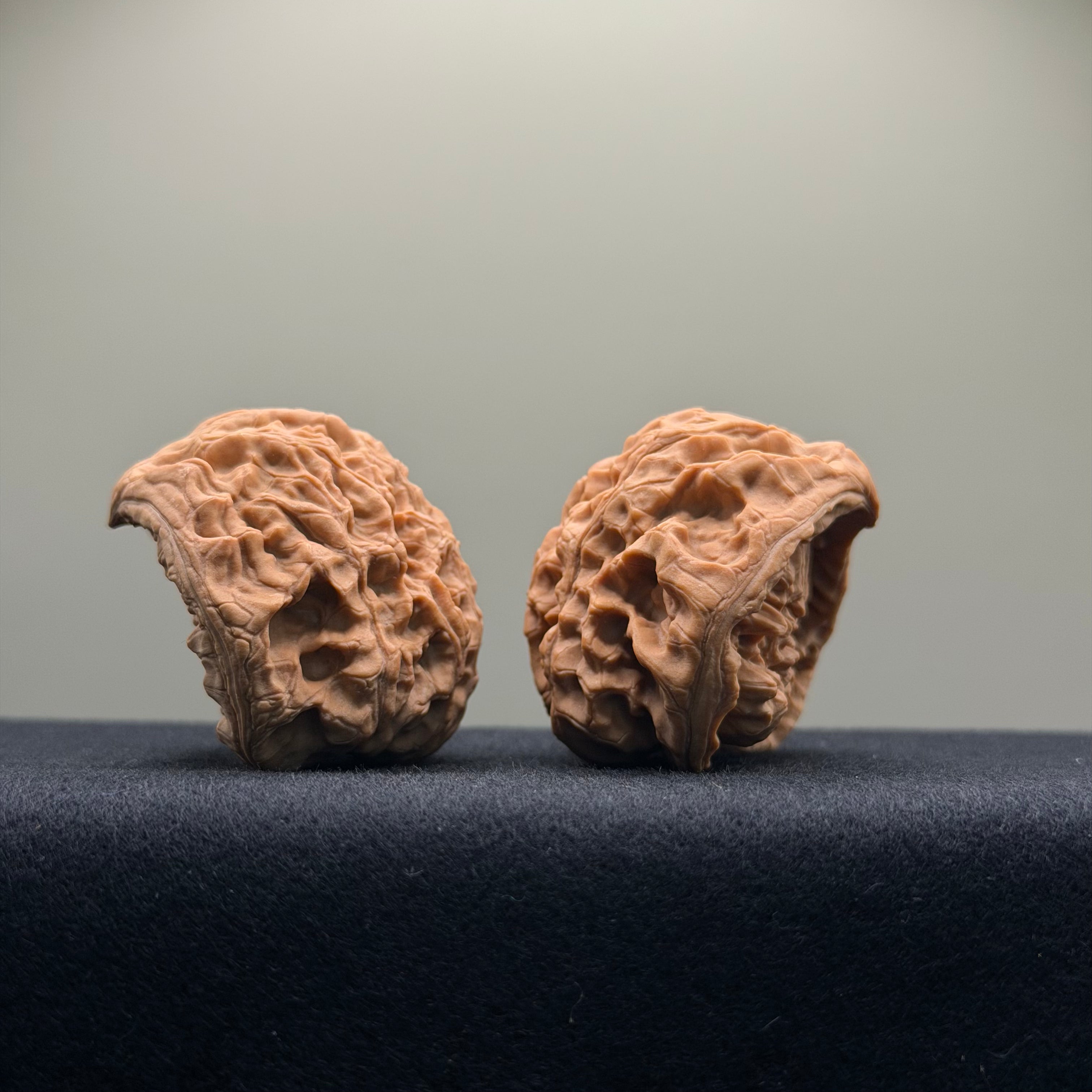 Snake Head Wenwan Walnut  · 43mm · Natural · Premium Ritual