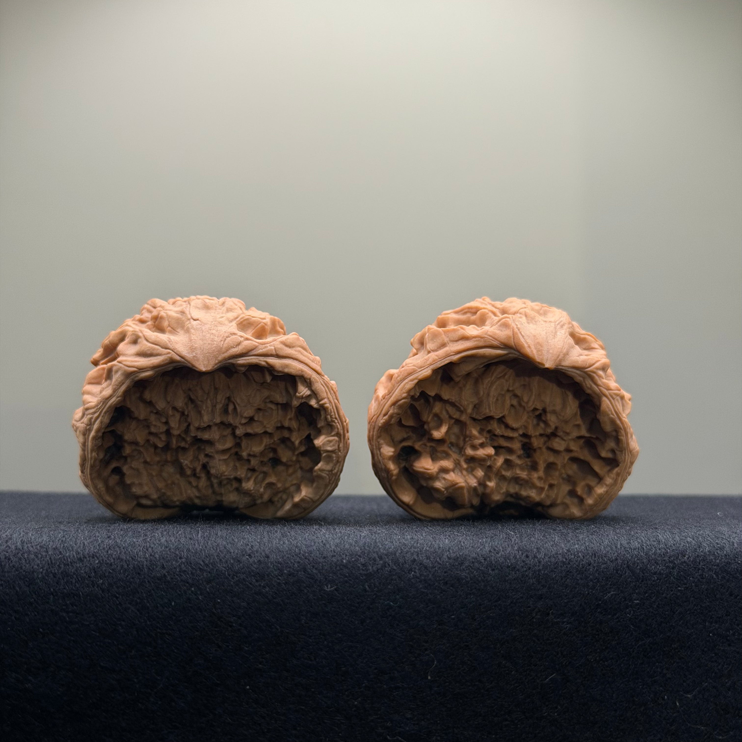 Snake Head Wenwan Walnut  · 43mm · Natural · Premium Ritual