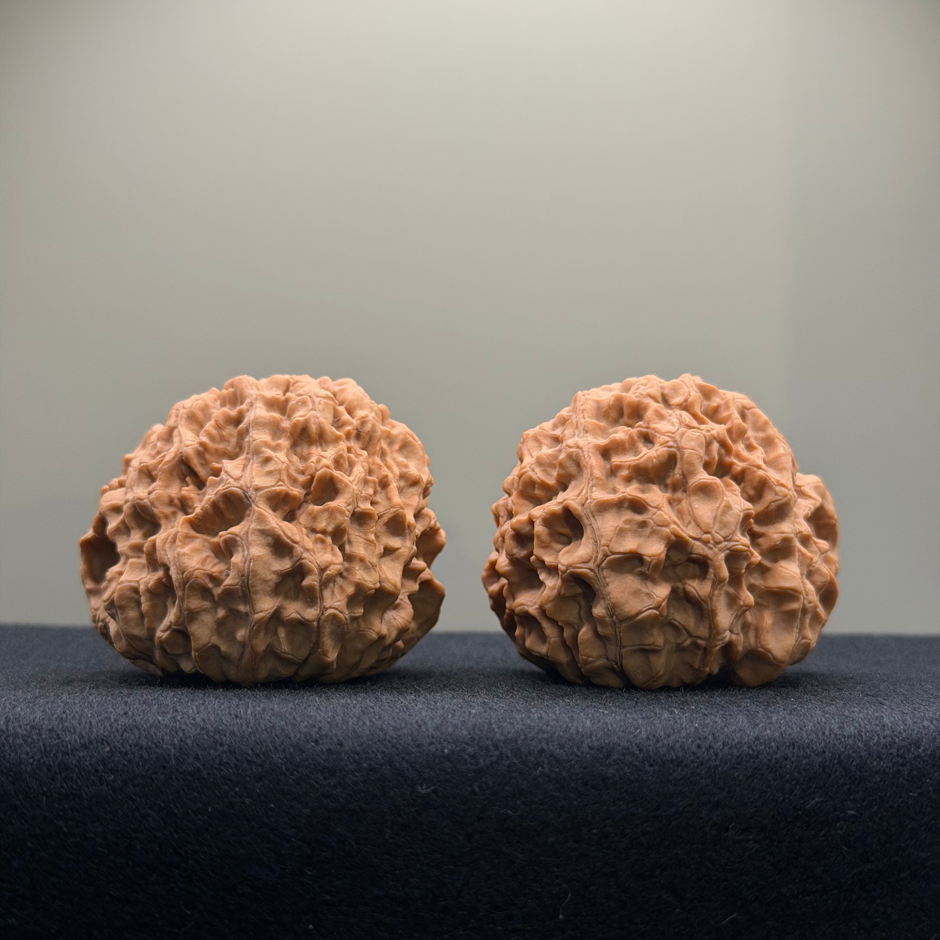 Snake Head Wenwan Walnut  · 43mm · Natural · Premium Ritual