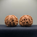 Thick Rib Lion Head Wenwan Walnut · 43mm · Select Ritual