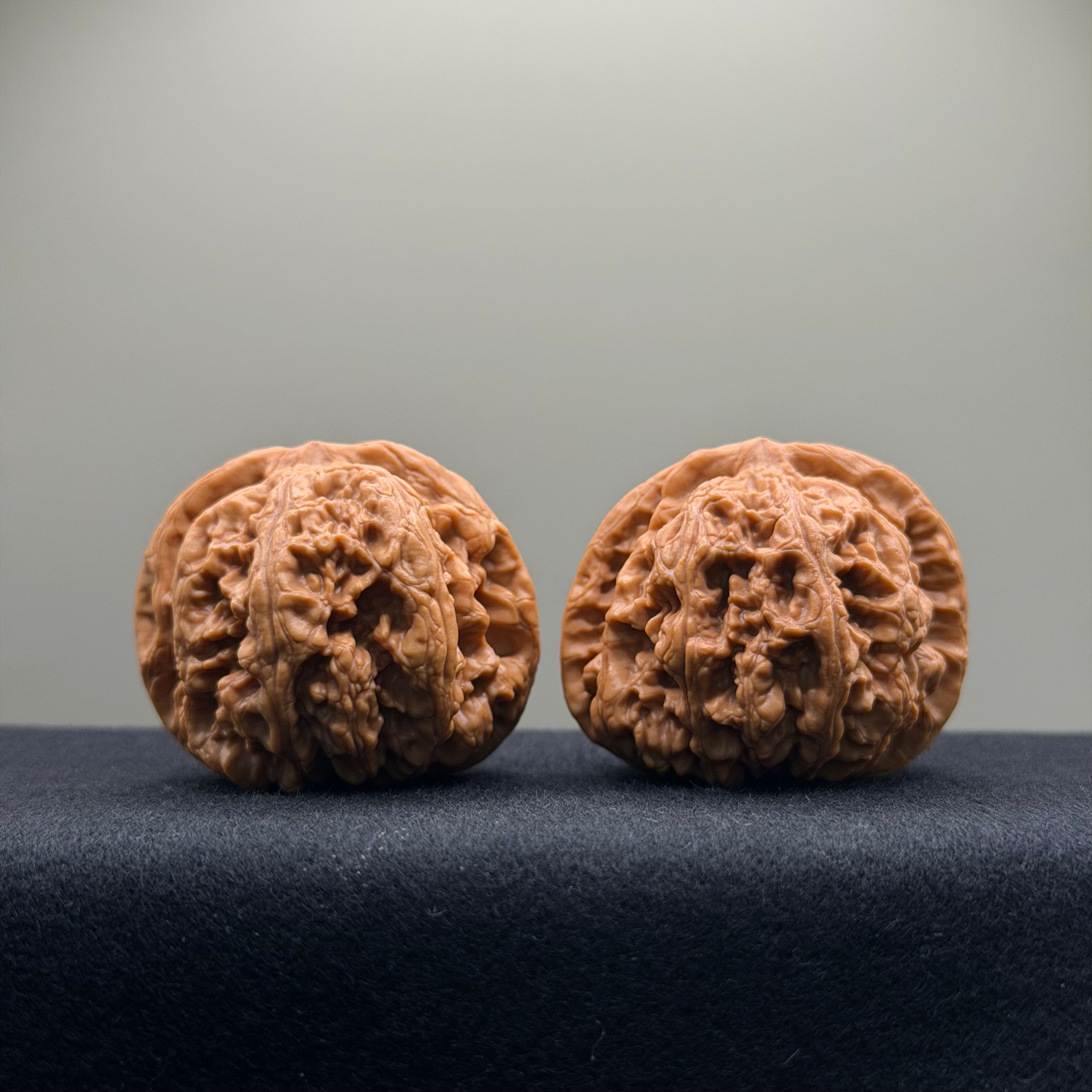 Thick Rib Lion Head Wenwan Walnut · 43mm · Select Ritual