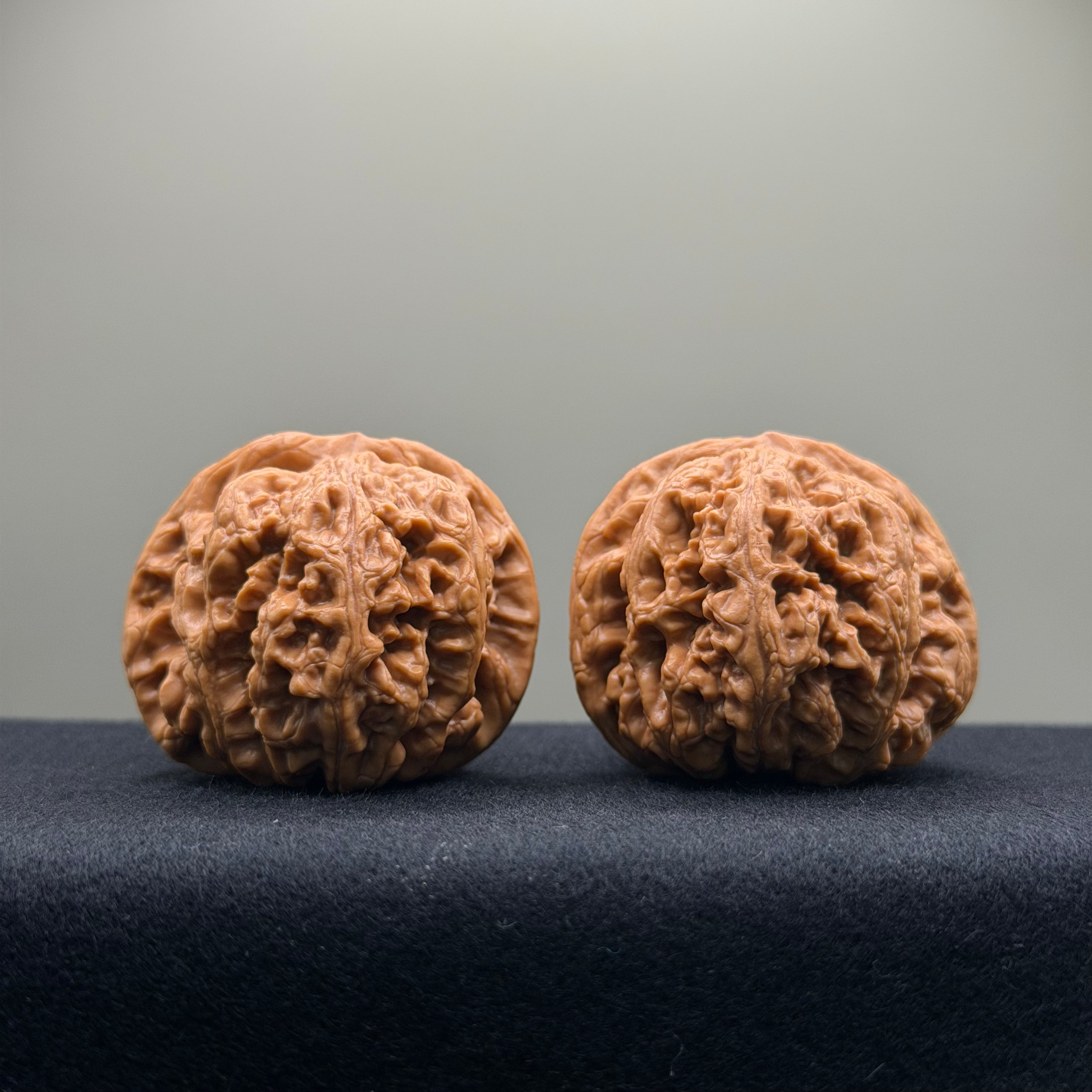 Thick Rib Lion Head Wenwan Walnut · 43mm · Select Ritual