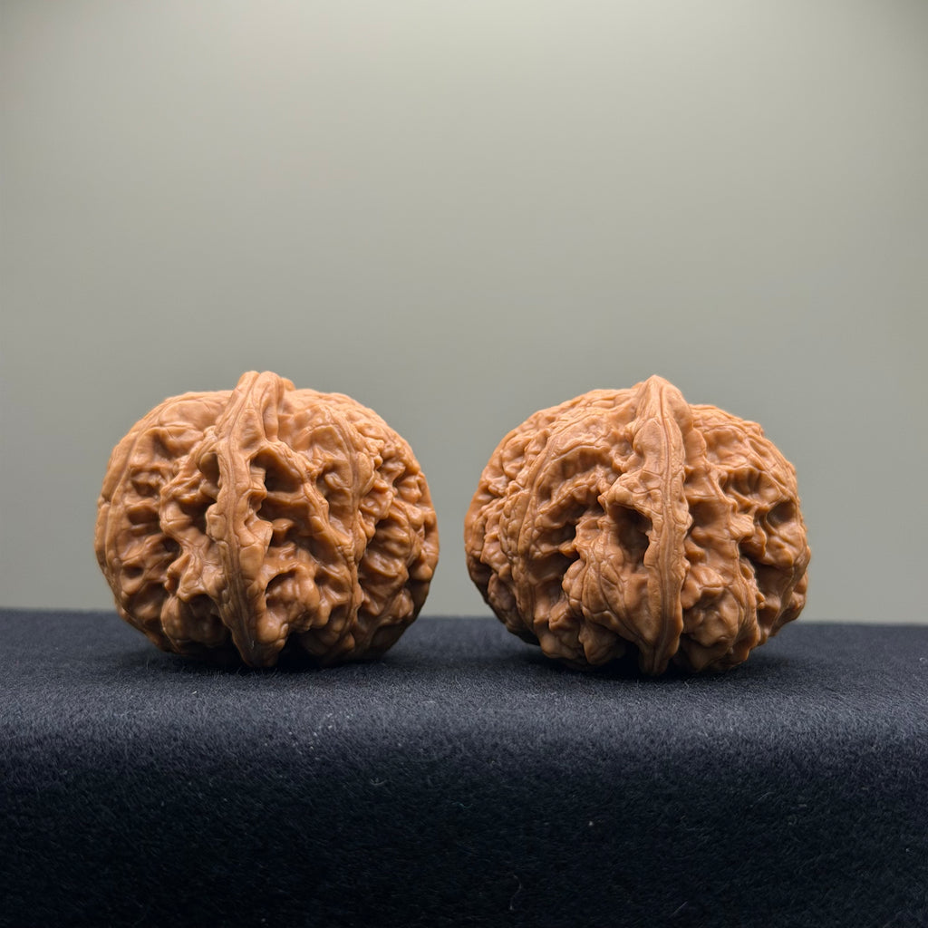 Thick Rib Lion Head Wenwan Walnut · 43mm · Select Ritual