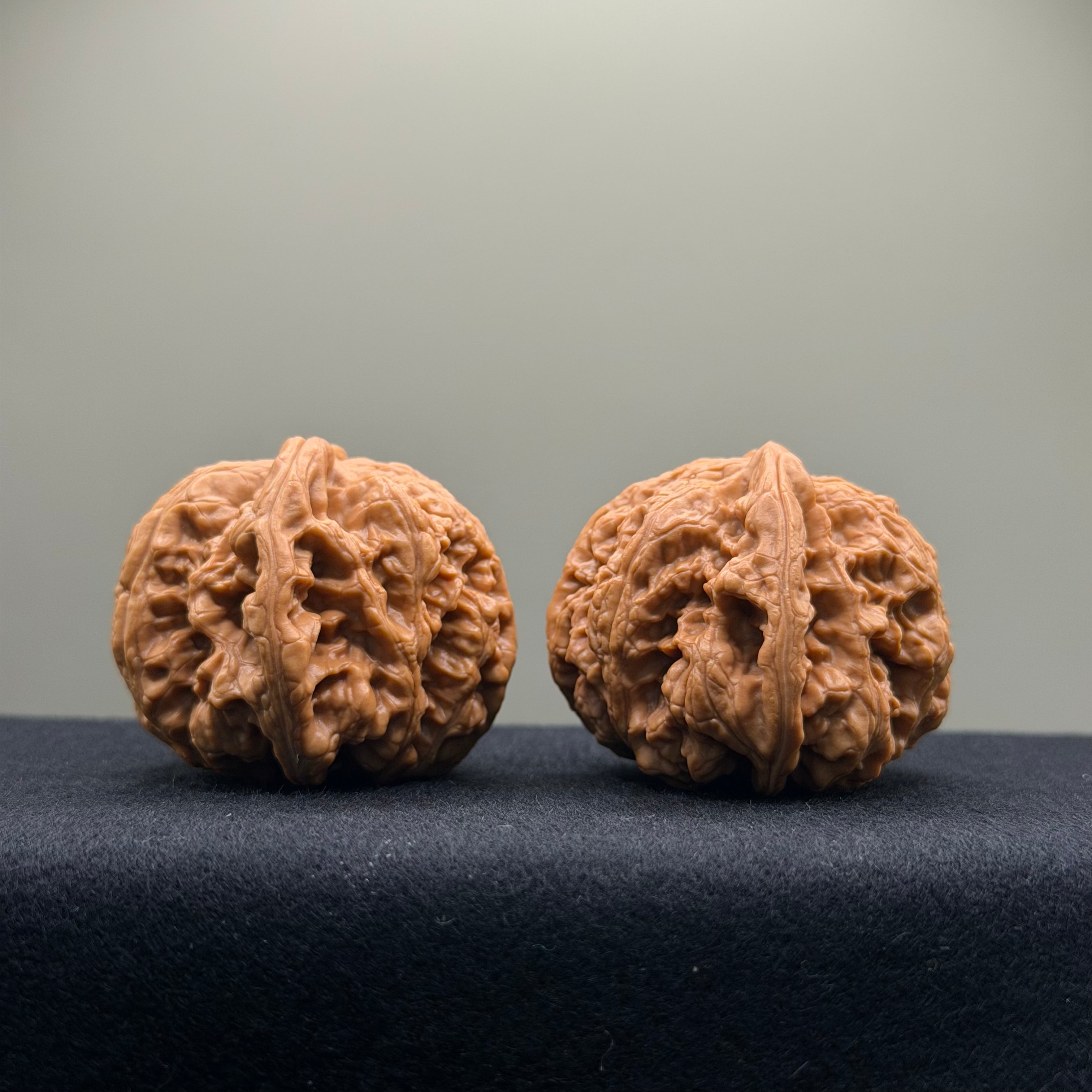 Thick Rib Lion Head Wenwan Walnut · 43mm · Select Ritual