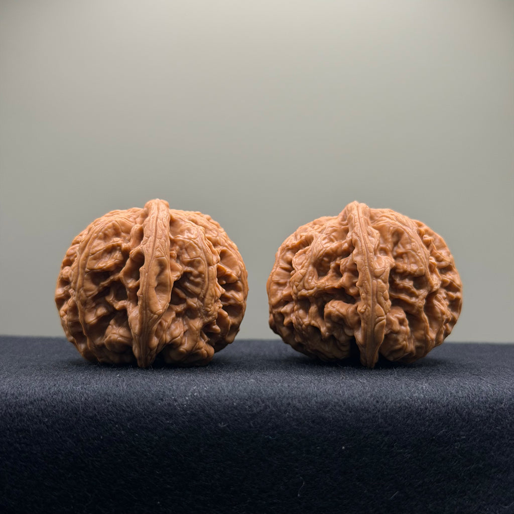 Thick Rib Lion Head Wenwan Walnut · 43mm · Select Ritual