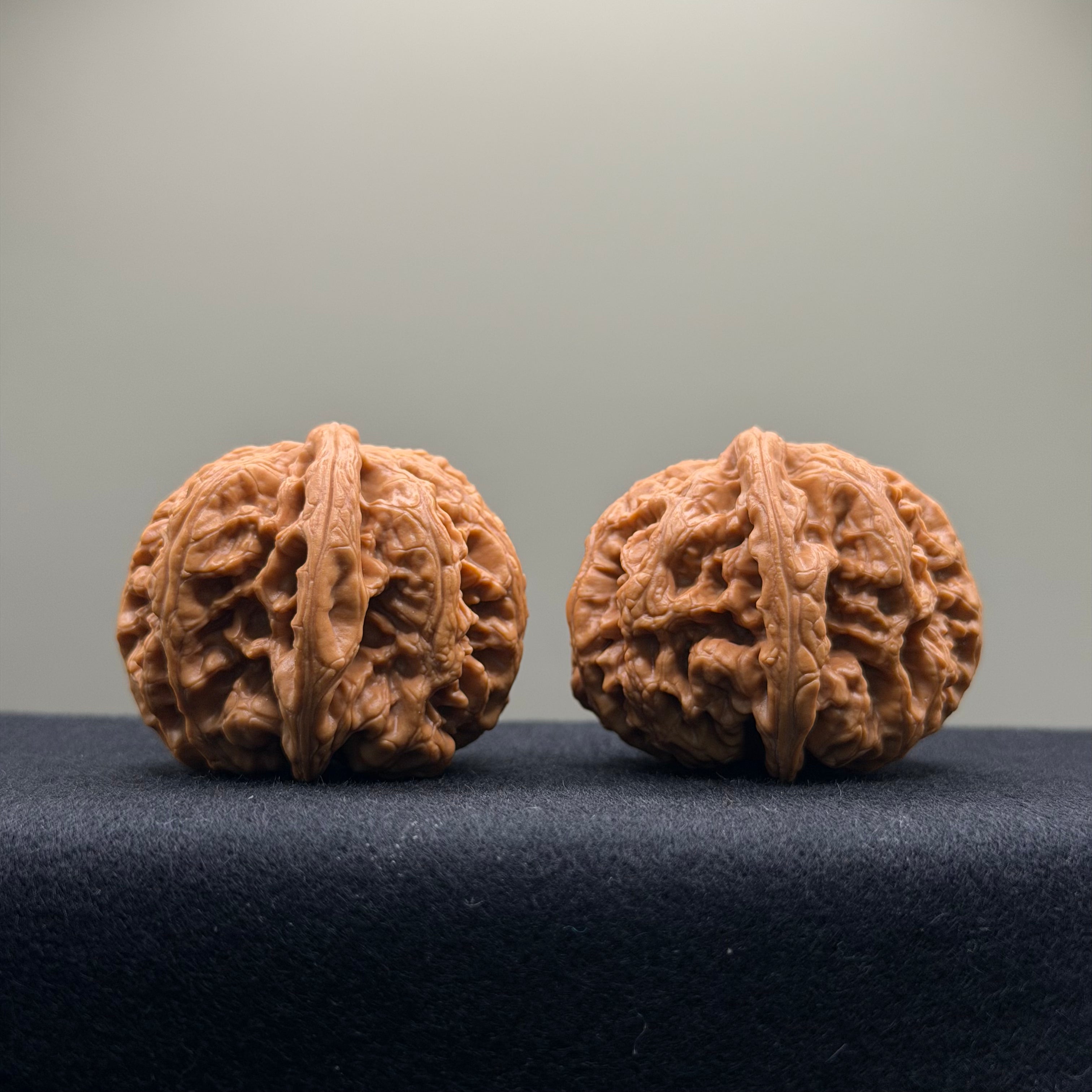 Thick Rib Lion Head Wenwan Walnut · 43mm · Select Ritual
