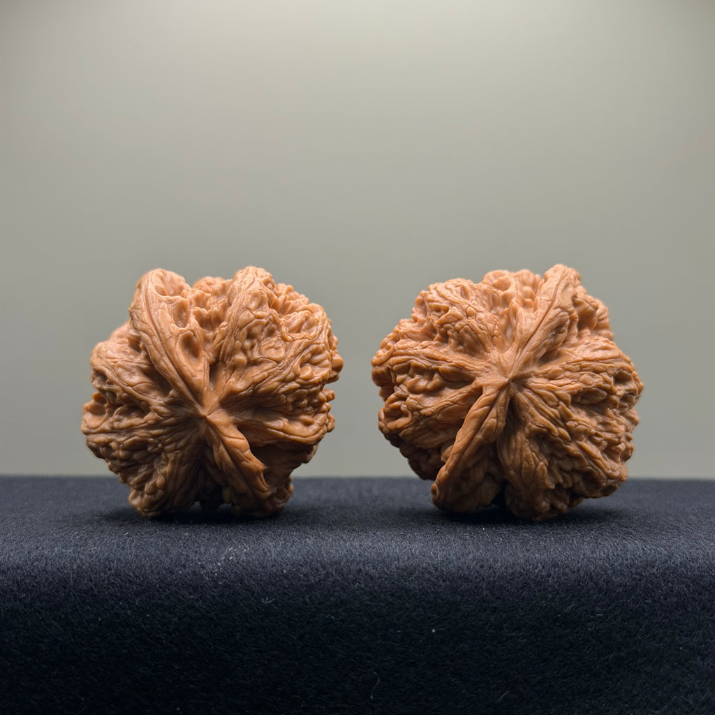 Thick Rib Lion Head Wenwan Walnut · 43mm · Select Ritual