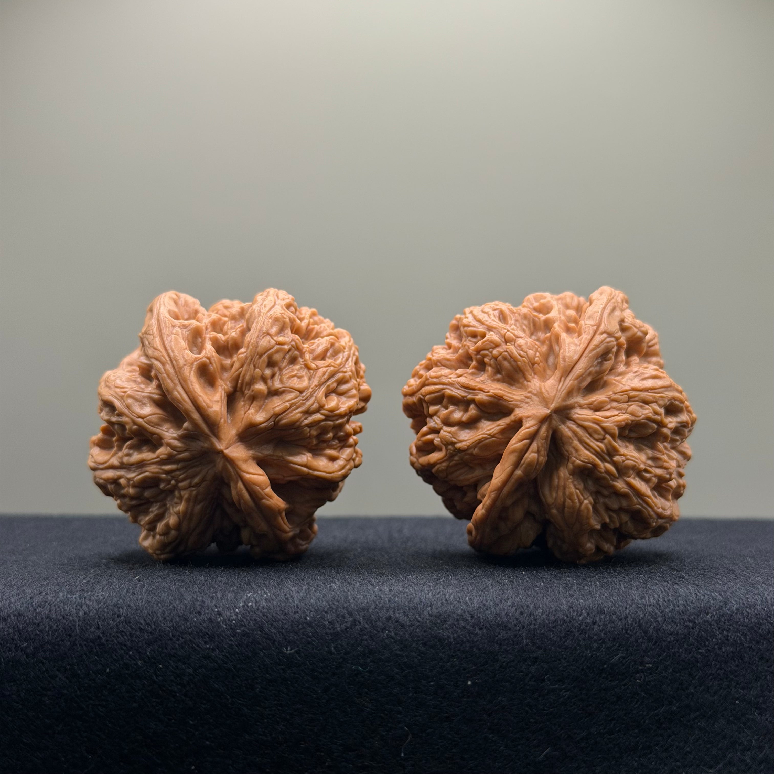 Thick Rib Lion Head Wenwan Walnut · 43mm · Select Ritual