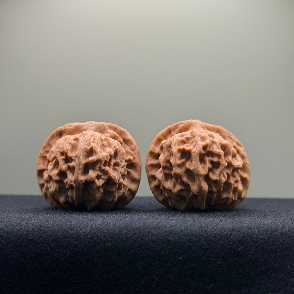 Heaven & Earth Wenwan Walnut · 39mm · Natural · Premium Ritual