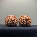 Heaven & Earth Wenwan Walnut · 39mm · Natural · Premium Ritual