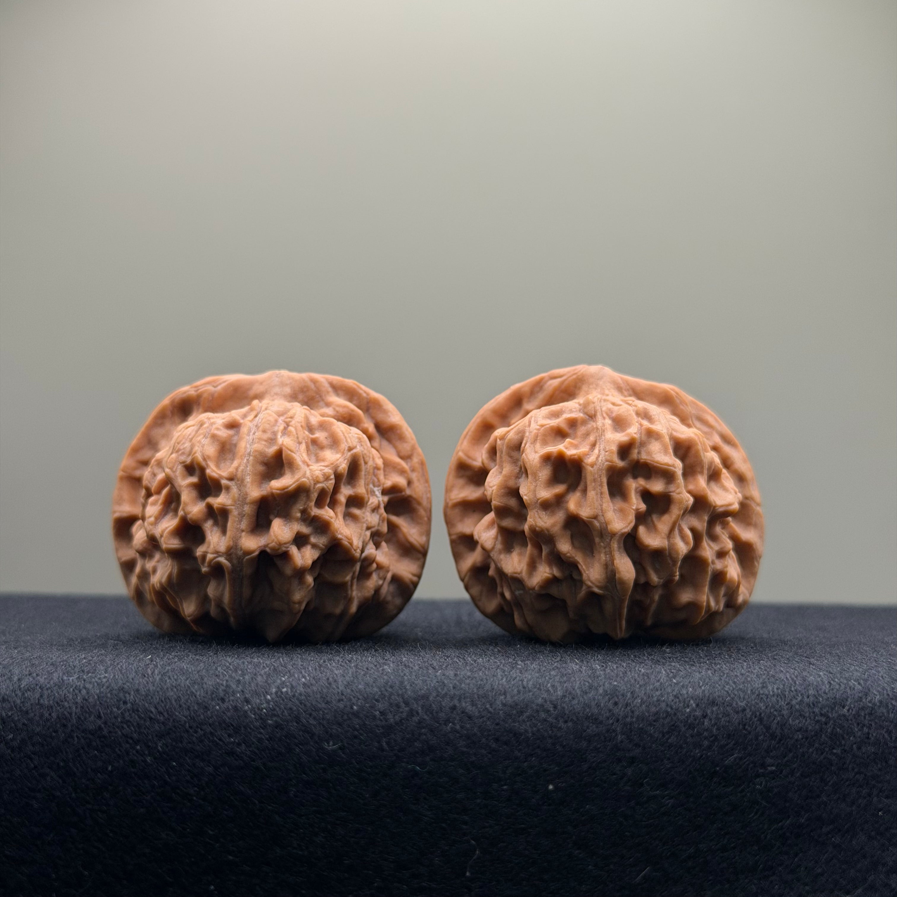 Heaven & Earth Wenwan Walnut · 39mm · Natural · Premium Ritual