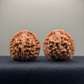 Heaven & Earth Wenwan Walnut · 41mm · Natural · Premium Ritual