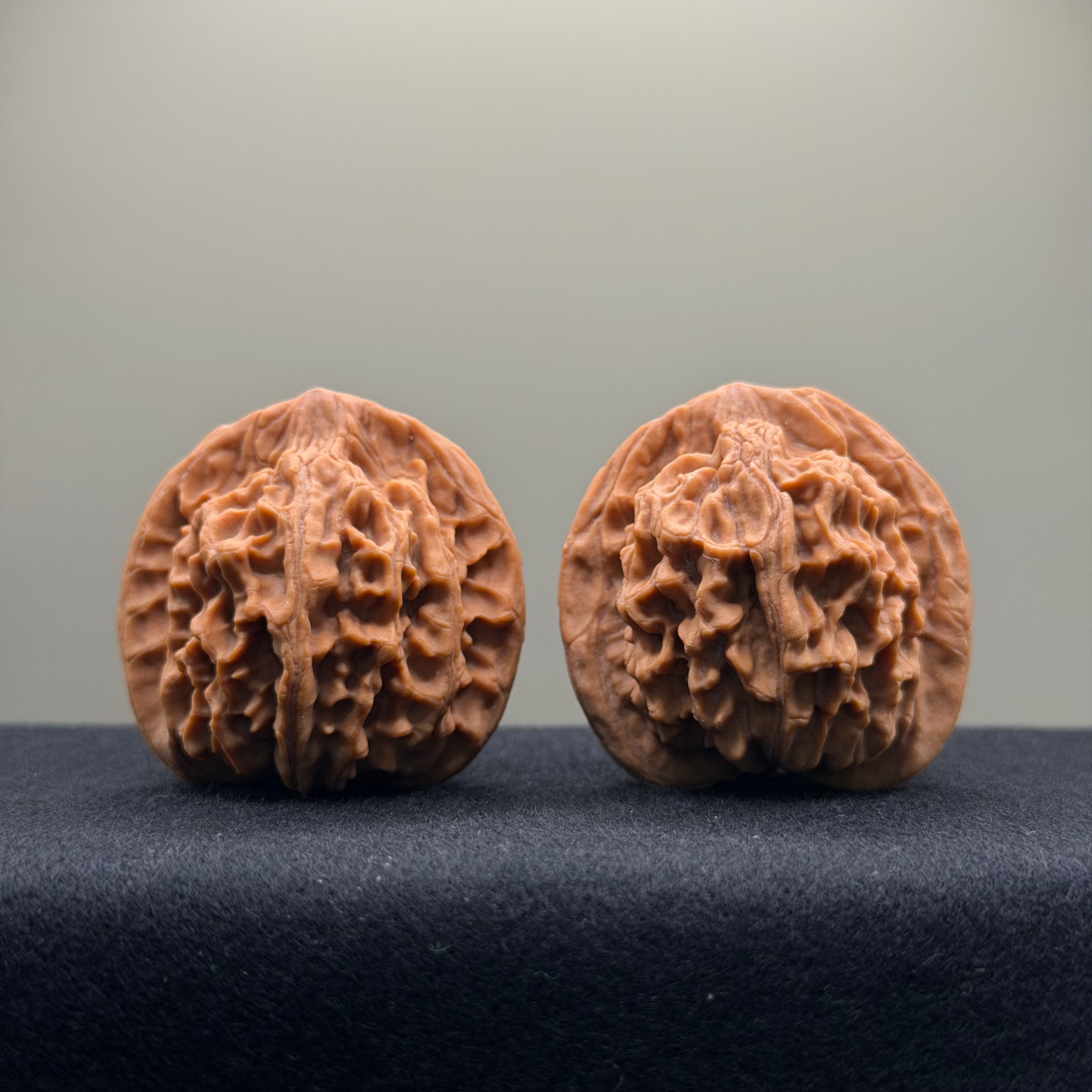 Heaven & Earth Wenwan Walnut · 41mm · Natural · Premium Ritual