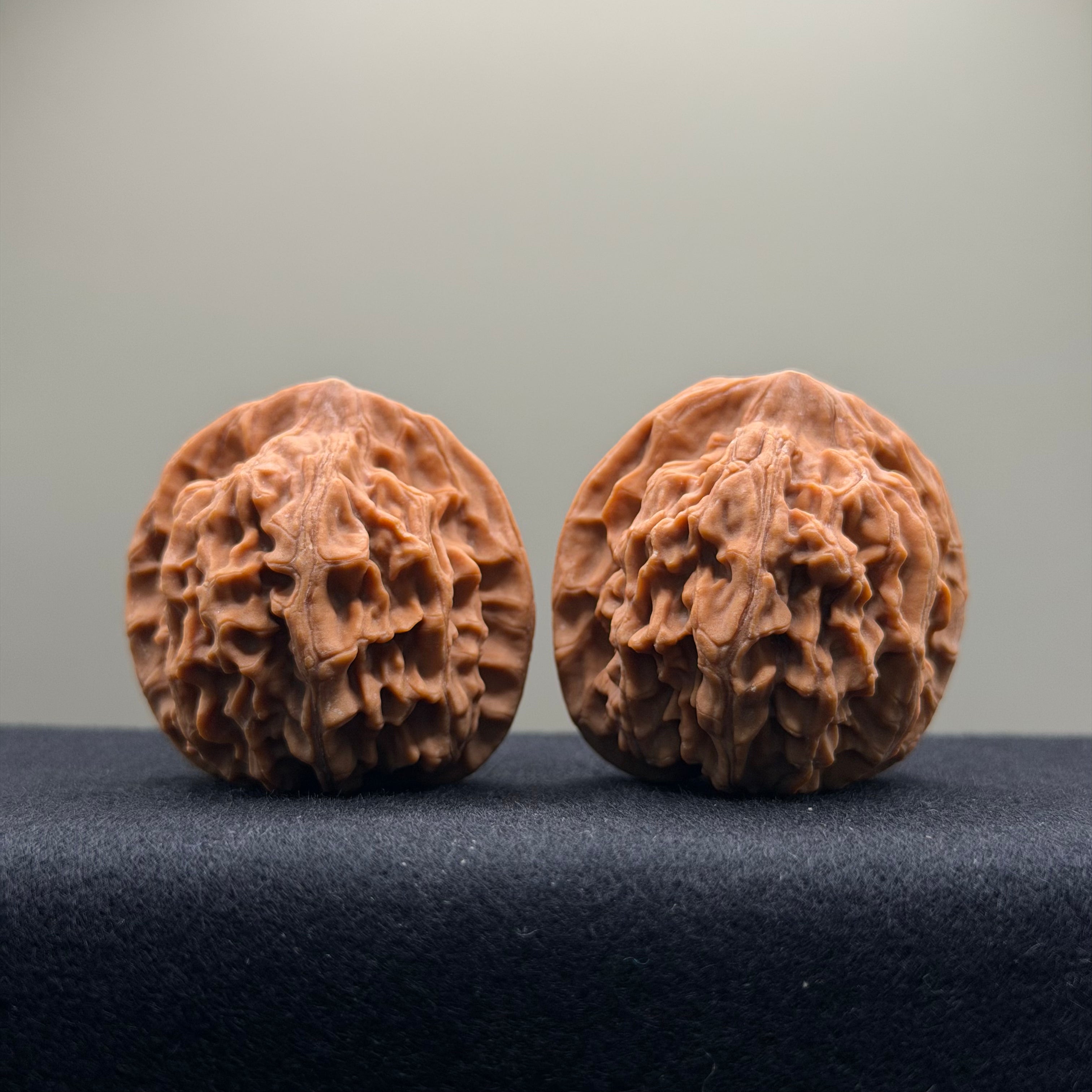 Heaven & Earth Wenwan Walnut · 41mm · Natural · Premium Ritual