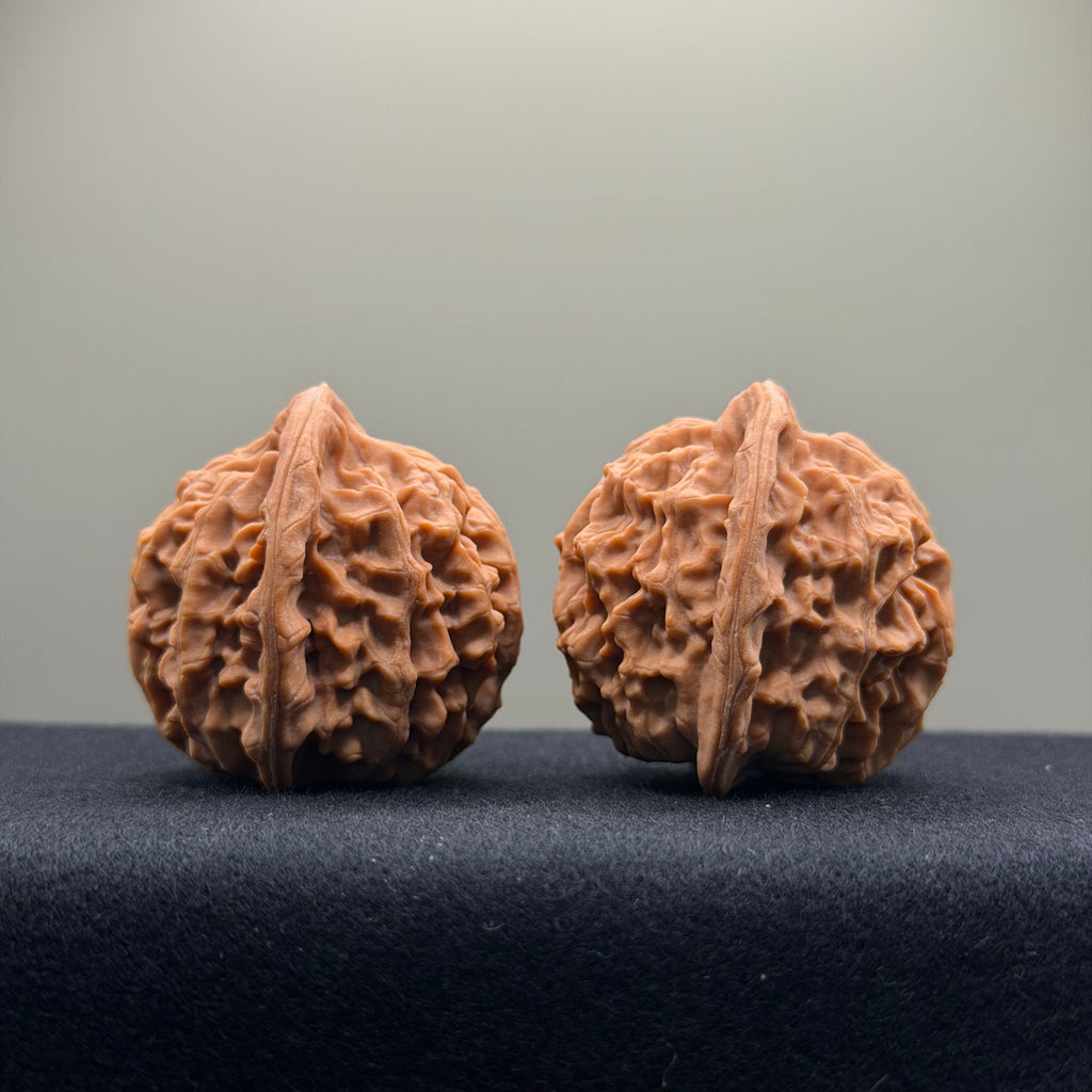 Heaven & Earth Wenwan Walnut · 41mm · Natural · Premium Ritual
