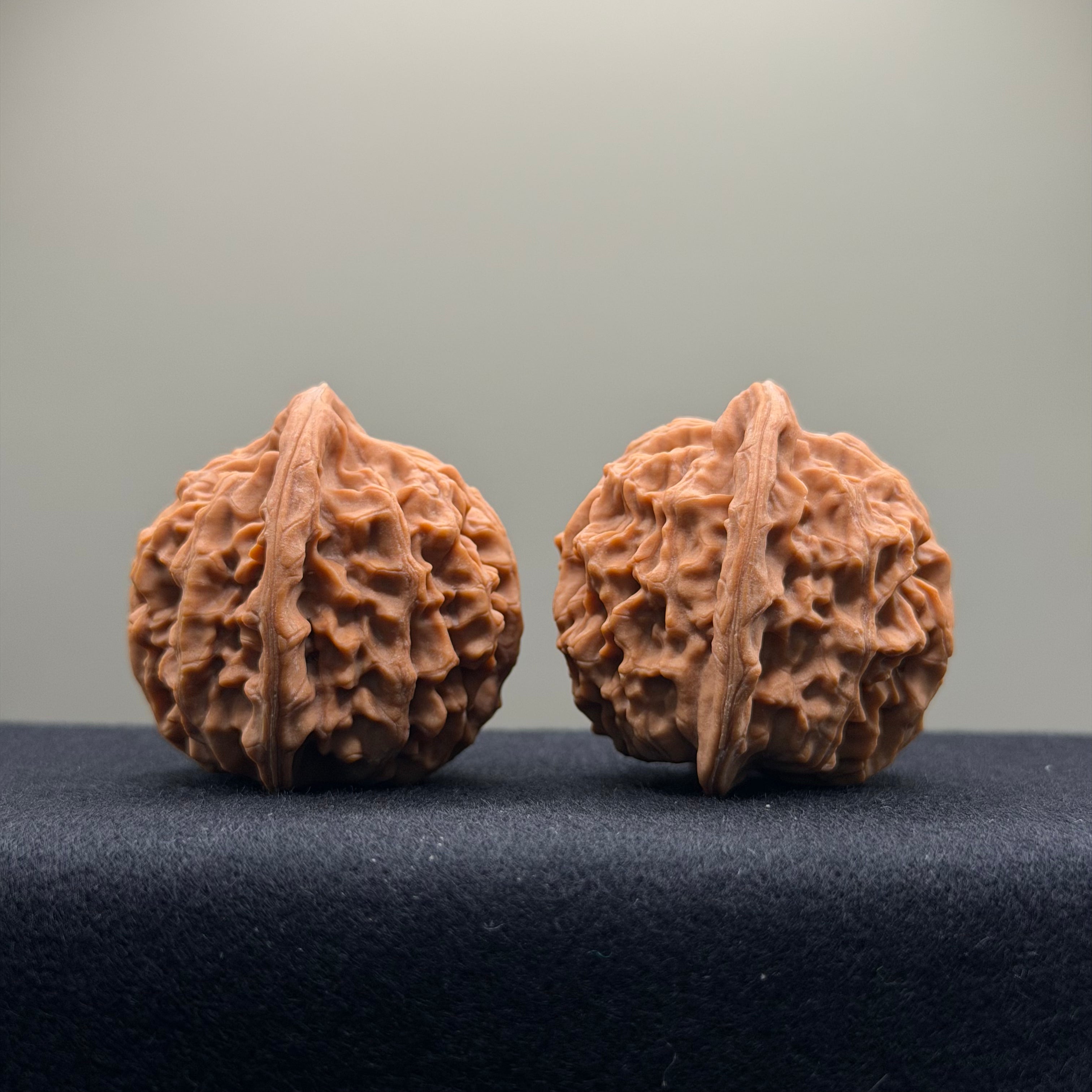 Heaven & Earth Wenwan Walnut · 41mm · Natural · Premium Ritual