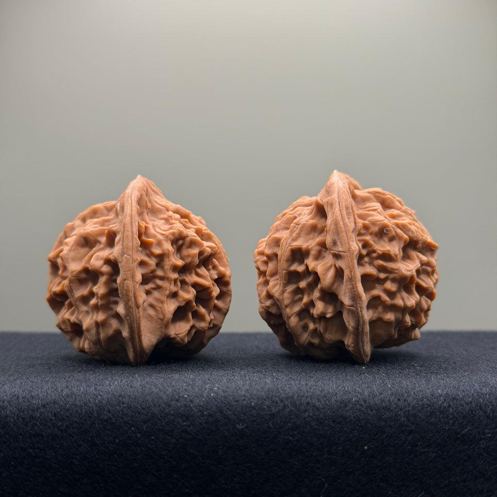 Heaven & Earth Wenwan Walnut · 41mm · Natural · Premium Ritual